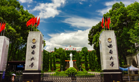 西南大学